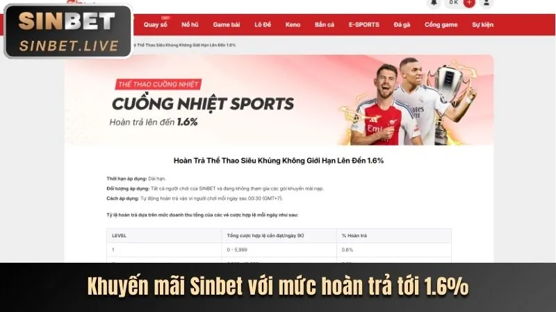Chương trình hoàn trả hàng ngày tại 181bet chính thức